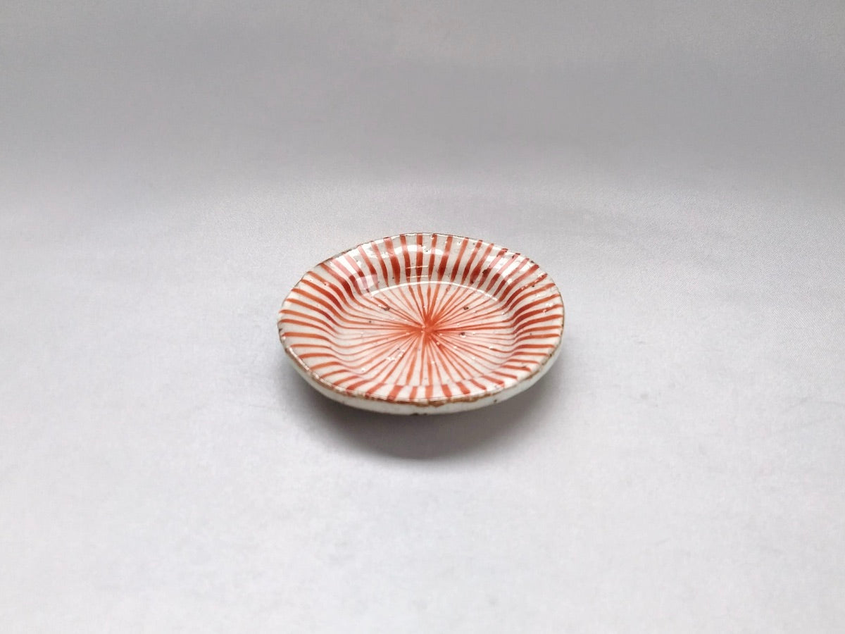 粉引十草豆皿赤【三浦繁久】